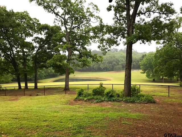 440 VZ County Road 4814, Ben Wheeler, TX 75754