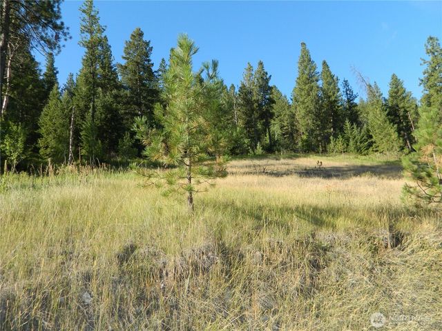 10 Sorona Way, Tonasket, WA 98855