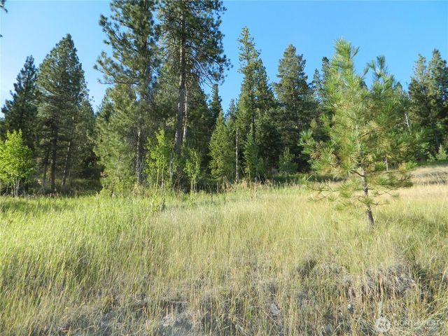 10 Sorona Way, Tonasket, WA 98855