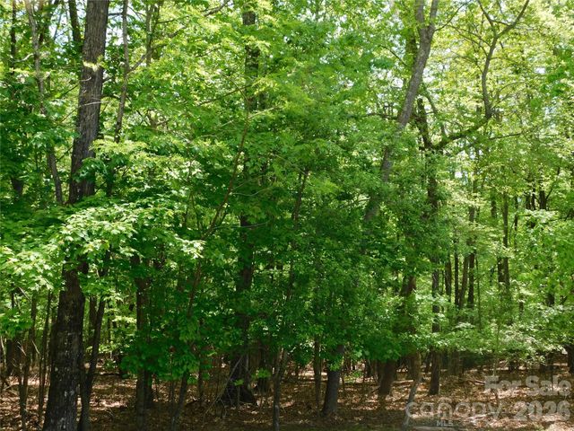 1064 Skye Drive, Pisgah Forest, NC 28768
