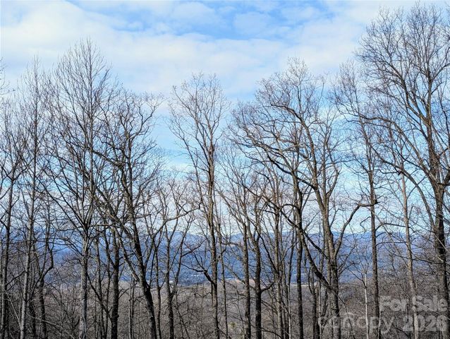 1064 Skye Drive, Pisgah Forest, NC 28768