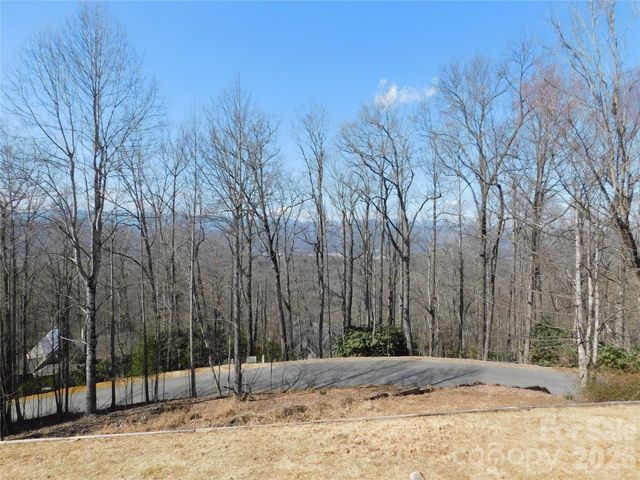 1064 Skye Drive, Pisgah Forest, NC 28768