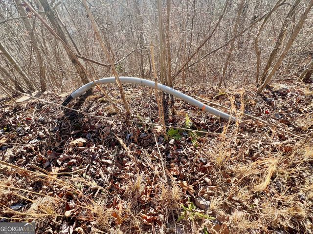 54 Carlin Road, Hiawassee, GA 30546