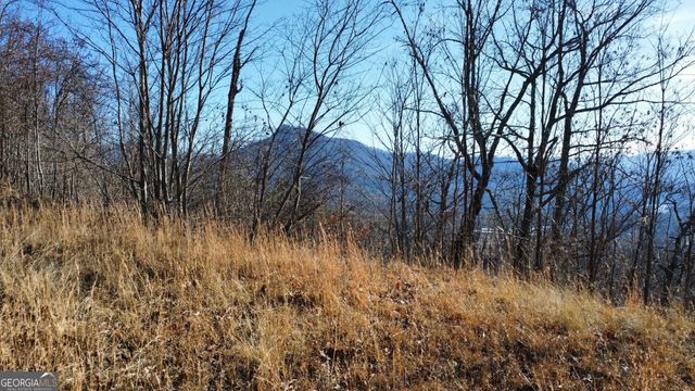 54 Carlin Road, Hiawassee, GA 30546