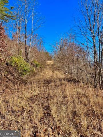 54 Carlin Road, Hiawassee, GA 30546