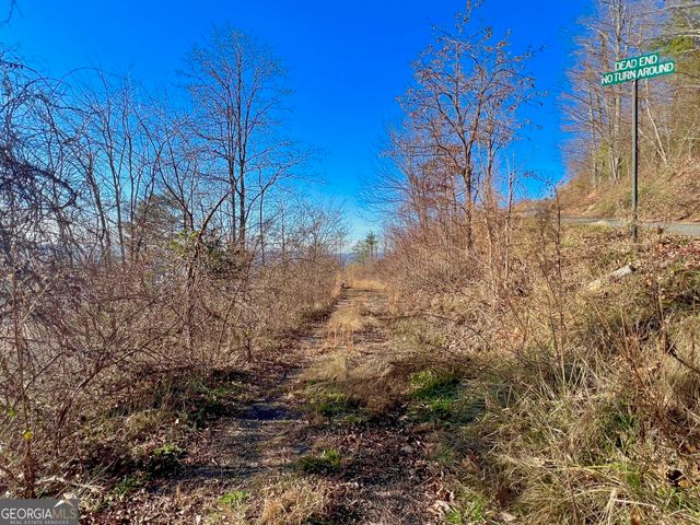 54 Carlin Road, Hiawassee, GA 30546