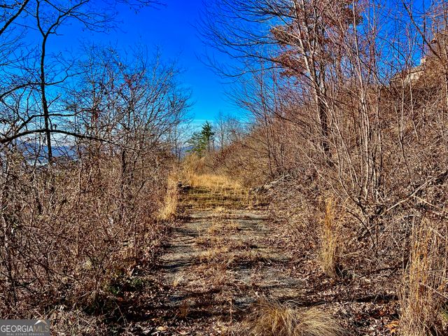 54 Carlin Road, Hiawassee, GA 30546