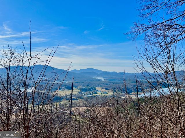 54 Carlin Road, Hiawassee, GA 30546