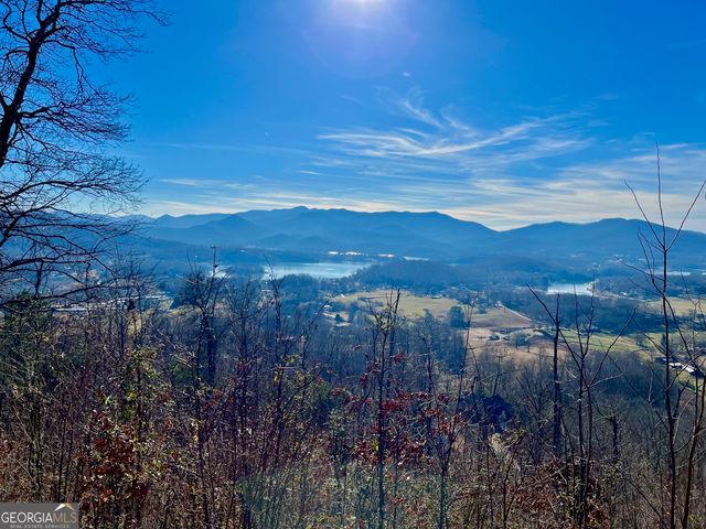 54 Carlin Road, Hiawassee, GA 30546