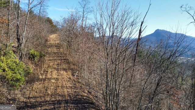 54 Carlin Road, Hiawassee, GA 30546