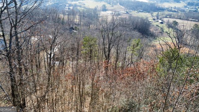 54 Carlin Road, Hiawassee, GA 30546