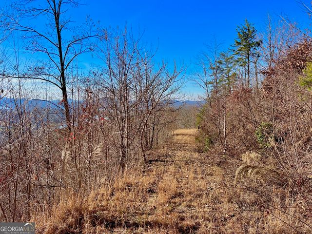 54 Carlin Road, Hiawassee, GA 30546