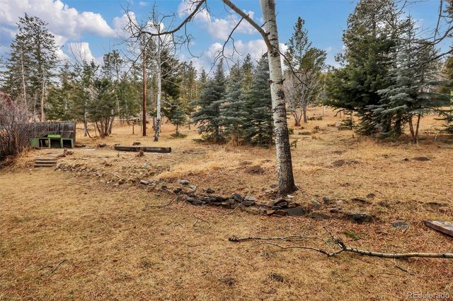 55 Meadow View Drive, Evergreen, CO 80439