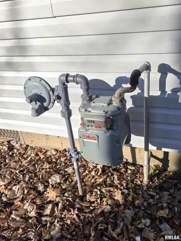 110 HICKORY Street, Flora, IL 62839