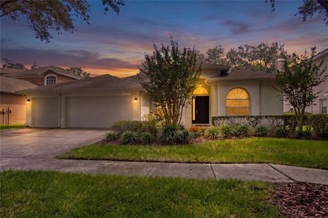 17715 HAMPSHIRE OAK DRIVE, Tampa, FL 33647