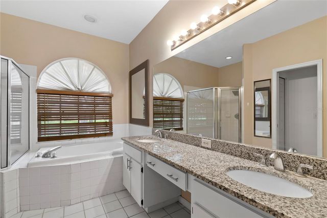17715 HAMPSHIRE OAK DRIVE, Tampa, FL 33647