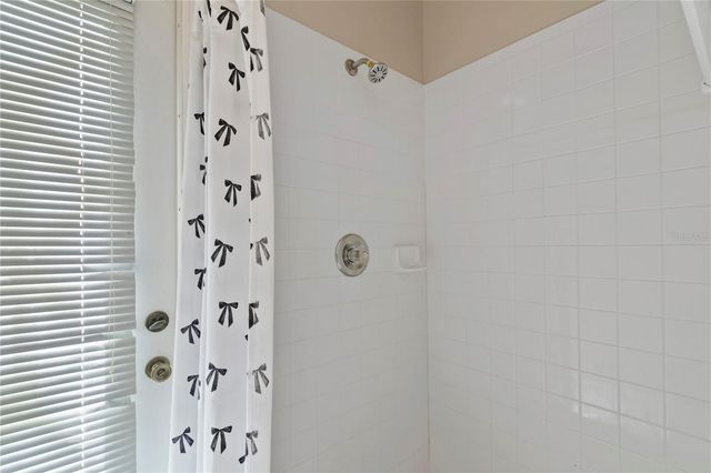 17715 HAMPSHIRE OAK DRIVE, Tampa, FL 33647