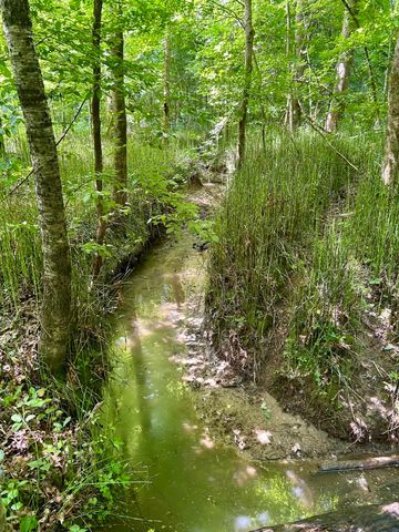 1079 ELM GROVE RD, Burlison, TN 38015