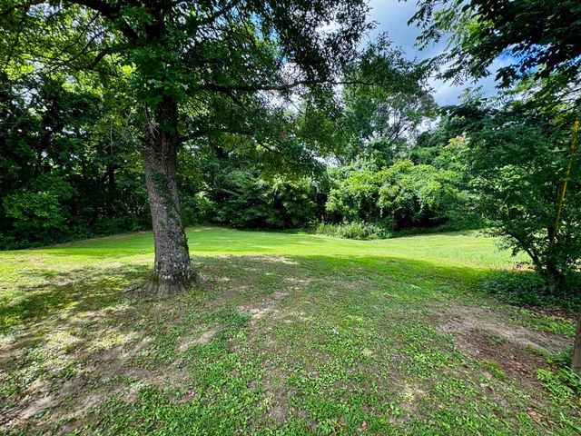 1079 ELM GROVE RD, Burlison, TN 38015