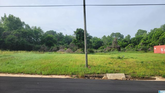 1505 CHAUCER STREET, Birmingham, AL 35214