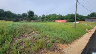 1505 CHAUCER STREET, Birmingham, AL 35214
