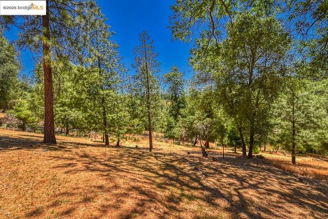 20830 Point View Dr, Groveland, CA 95321