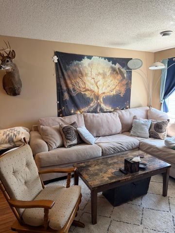 16106 71st Street NE, Elk River, MN 55330