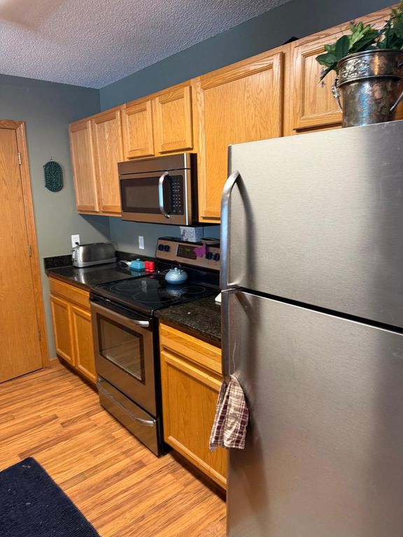 16106 71st Street NE, Elk River, MN 55330 — photo 4