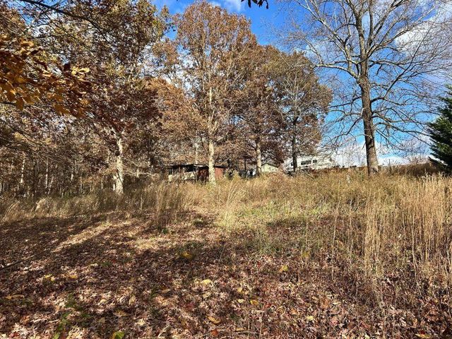 99 Rocket Drive, Cleveland, GA 30528