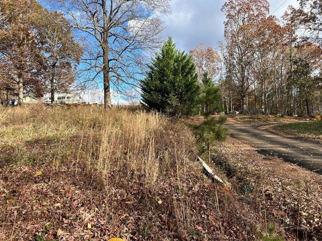 99 Rocket Drive, Cleveland, GA 30528