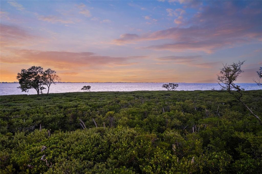 Image 60 of property listing at 332 HARBOUR SOUND COURT, Bradenton, FL 34209