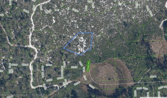 3385 Drake Avenue, Sebring, FL 33875