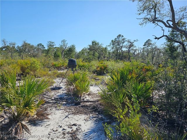 3385 Drake Avenue, Sebring, FL 33875