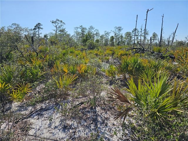3385 Drake Avenue, Sebring, FL 33875