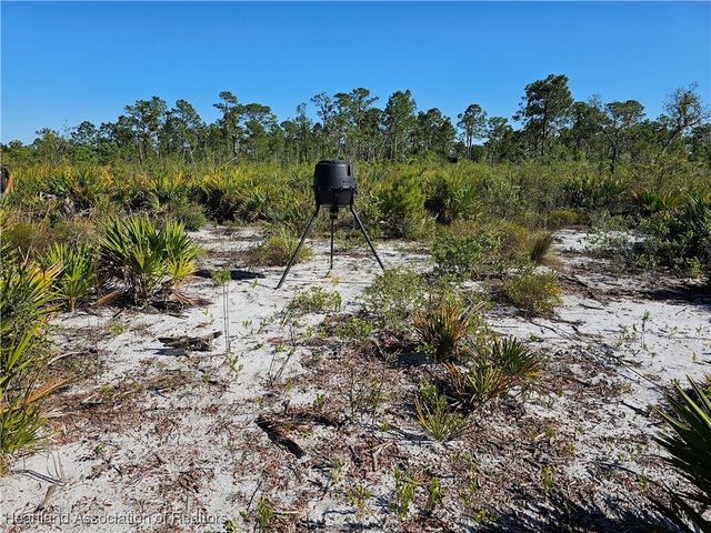 3385 Drake Avenue, Sebring, FL 33875