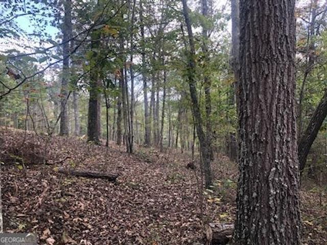 LT 90 Barrel Knot Court, Ellijay, GA 30536