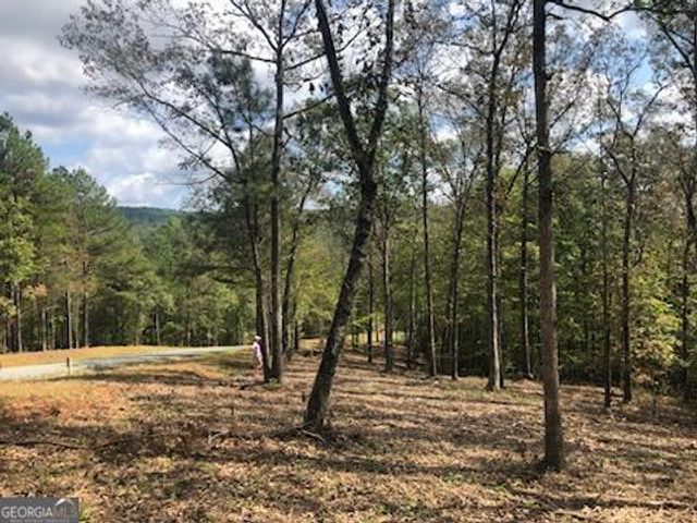 LT 90 Barrel Knot Court, Ellijay, GA 30536