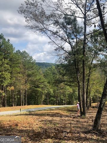 LT 90 Barrel Knot Court, Ellijay, GA 30536