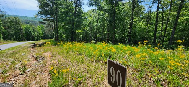 LT 90 Barrel Knot Court, Ellijay, GA 30536