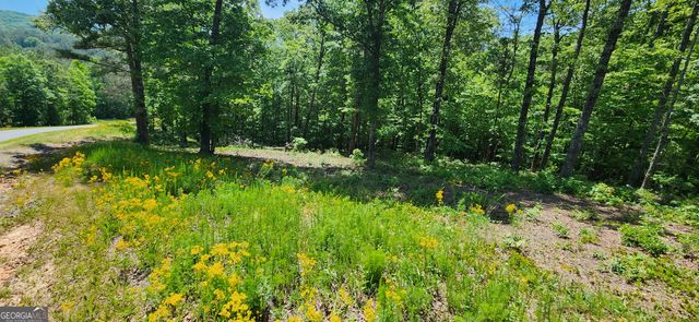 LT 90 Barrel Knot Court, Ellijay, GA 30536
