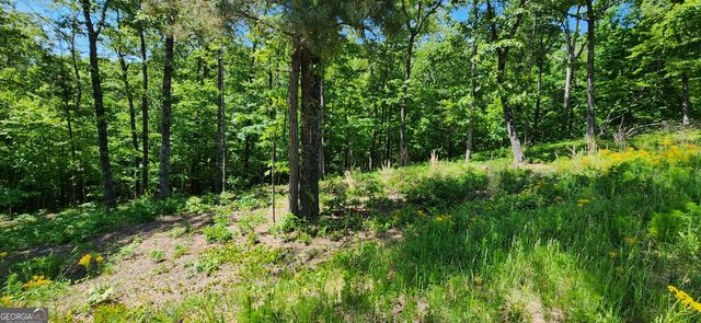 LT 90 Barrel Knot Court, Ellijay, GA 30536
