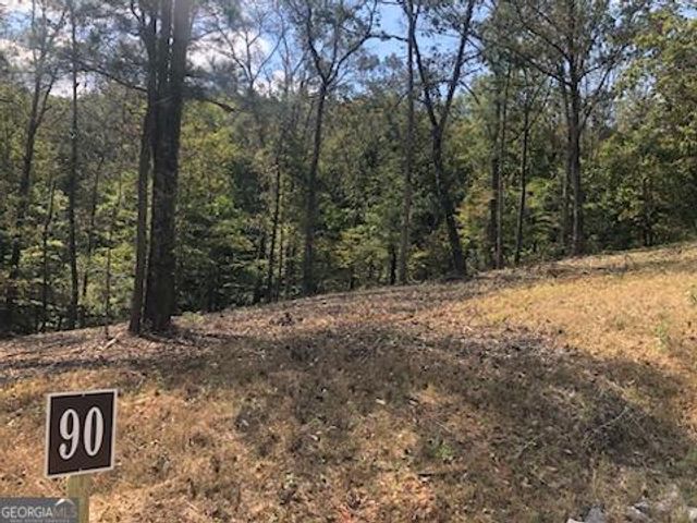 LT 90 Barrel Knot Court, Ellijay, GA 30536