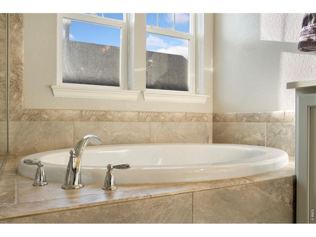 352 Baja Dr, Windsor, CO 80550