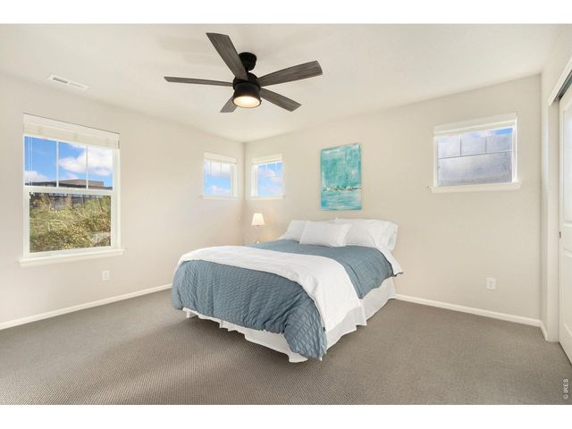 352 Baja Dr, Windsor, CO 80550