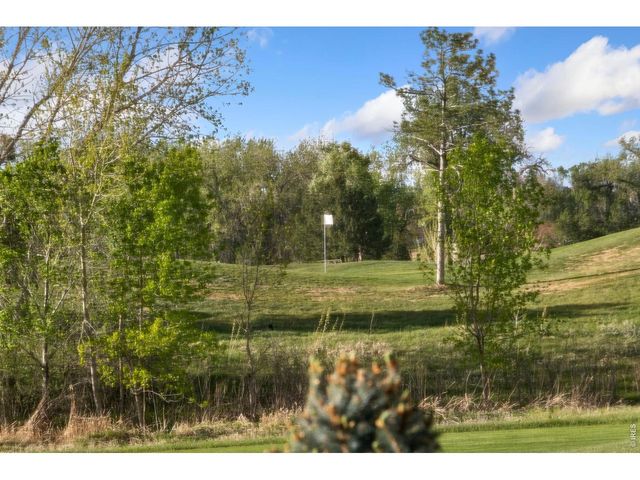 352 Baja Dr, Windsor, CO 80550