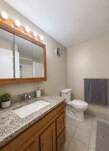 8 Village Rock Ln 3, Natick, MA 01760