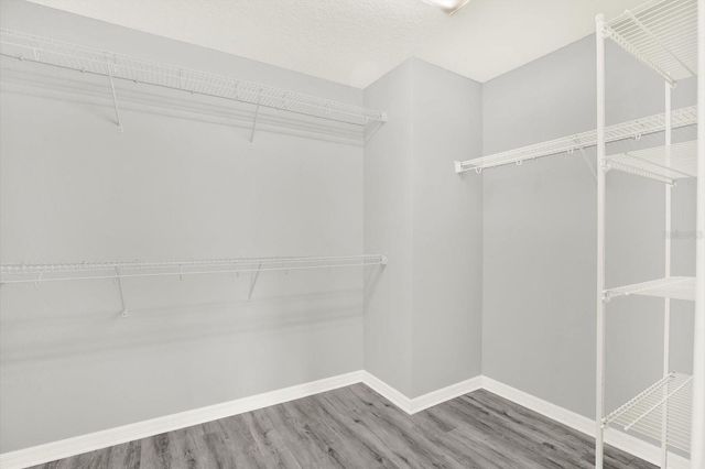 10560 LAKE SEMINOLE TERRACE, Seminole, FL 33772