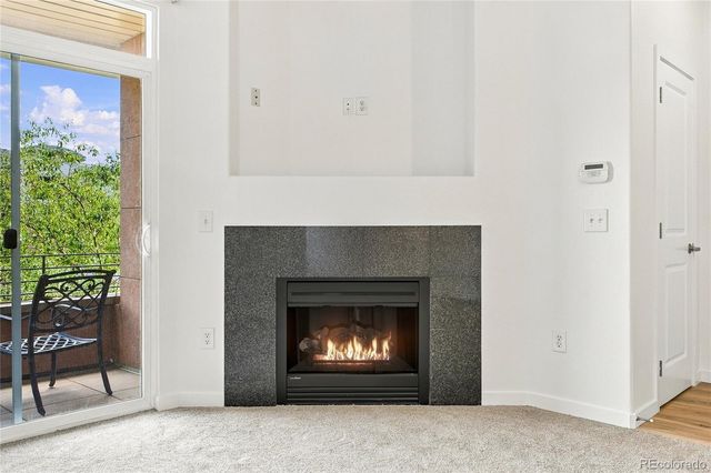 4100 Albion Street 618, Denver, CO 80216