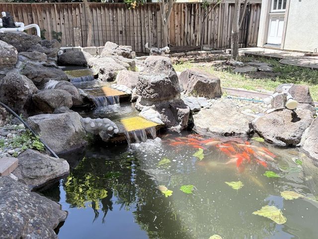3350 Ariel Joshua Court, San Jose, CA 95135