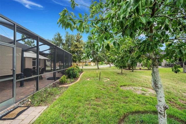 100 CASTELLON COURT, Davenport, FL 33837